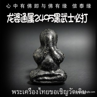 泰国佛牌 龙婆通属 2495 黑武士必打 掩面佛 人缘招财 避小人是非 保平安 吸财助事业 驱邪避险 人缘六合