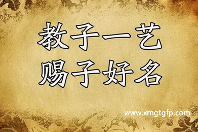 女孩带祯取名大全文雅