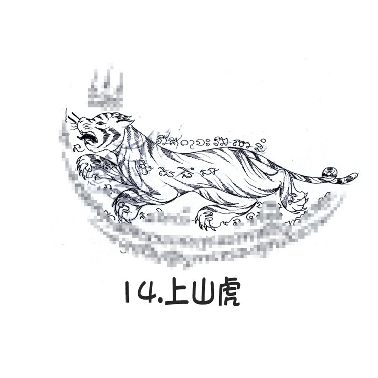 上山虎 回头虎 阿赞朕甩 2025年10月1日 中国 法会预约  泰国古法刺符 泰国一对一法事预约  阿赞通蜀无头虎传人