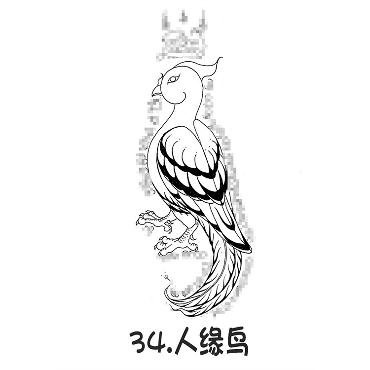 人缘鸟 泰国古法刺符 阿赞朕甩  2025年10月1号 广州法会预约 阿赞通蜀无头虎直系传人 泰国传统法事预约
