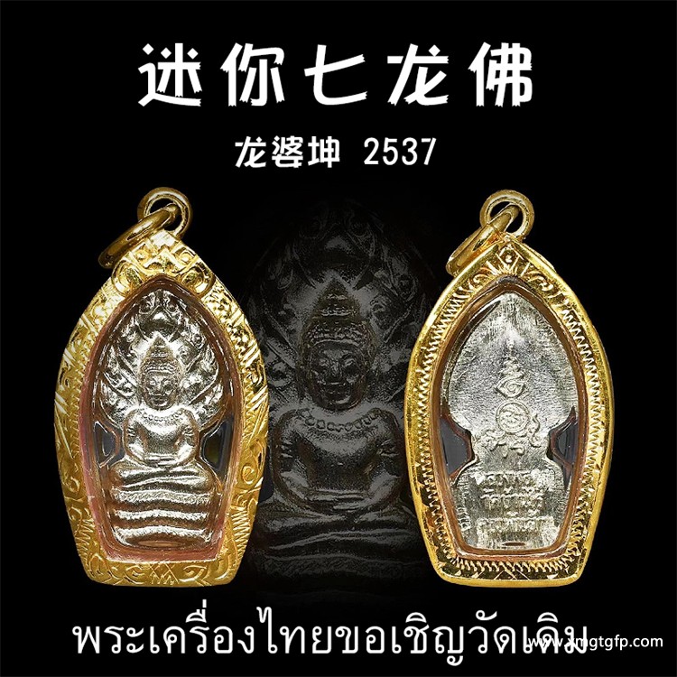 龙婆坤 迷你七龙佛佛牌 龙婆坤 迷你七龙佛佛牌.jpg