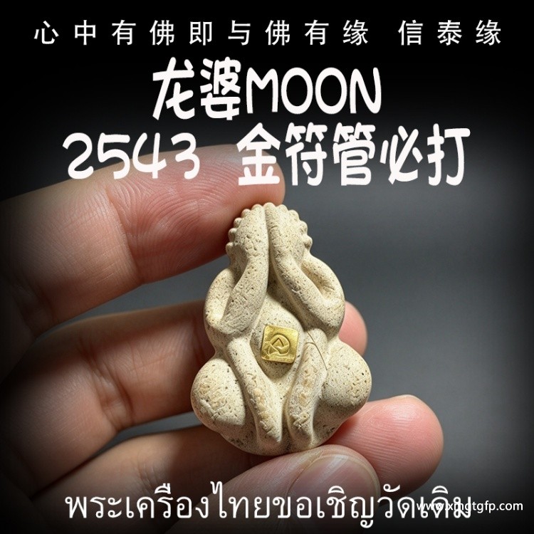 龙婆Moon 2543 纯金符管必打佛 掩面佛 泰国佛牌 人缘招财 避小人保平安 吸财助事业 驱邪避险 人缘六合